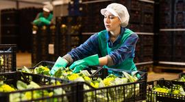 Identificatie van herbruikbare verpakkingen