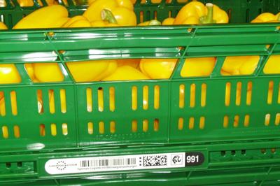 inotec Barcode Inmould Obstbehälter Lebensmittel Paprika