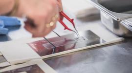 Uitstekende labelontwikkeling in ons eigen laboratorium.